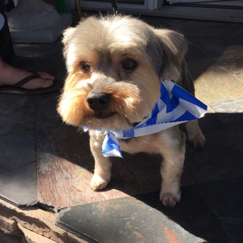 Meet your Posher, Fabiola